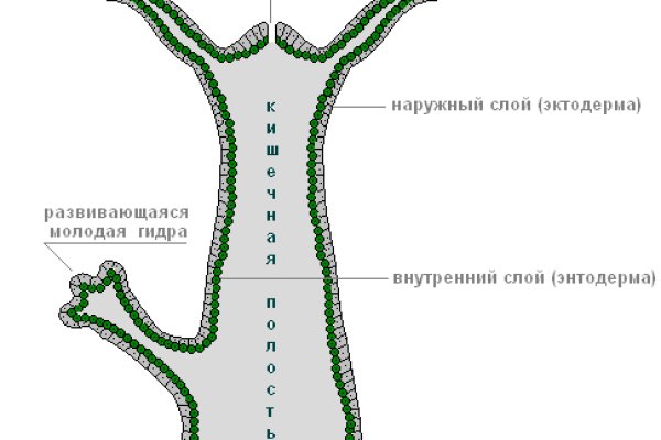 Кракен не работает