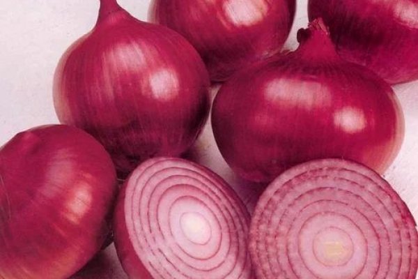 Кракен onion ссылка