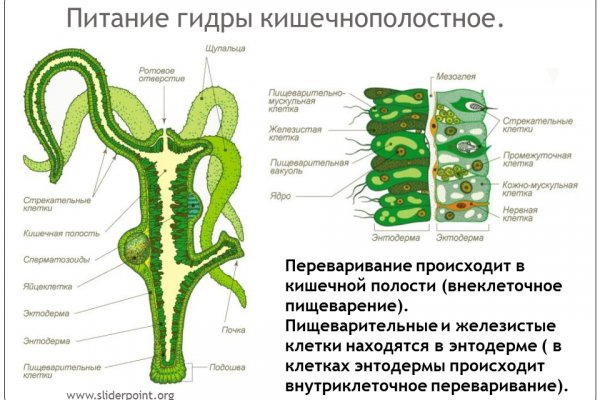 Кракен ссылка fo feng crmp ru